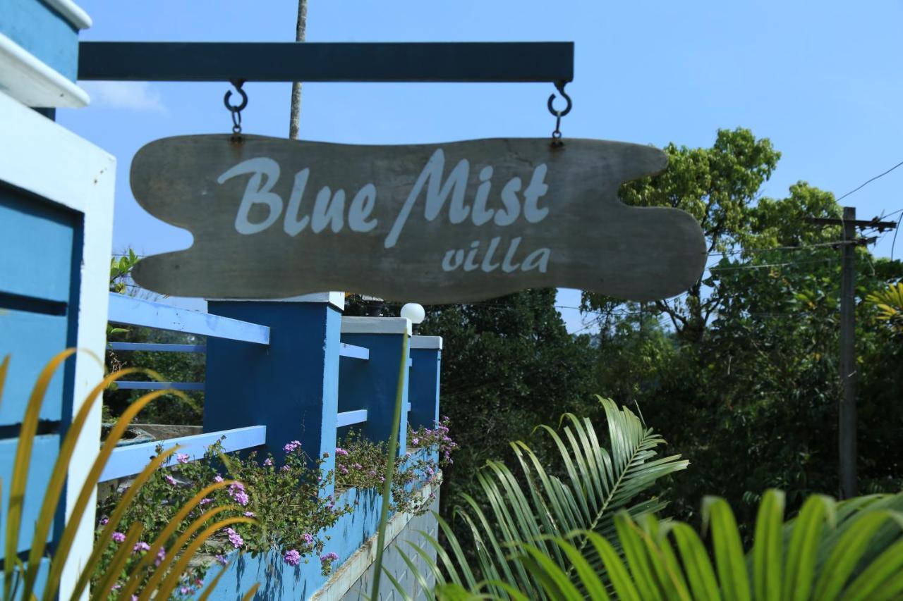 Bed and Breakfast Munnar Blue Mist Zewnętrze zdjęcie